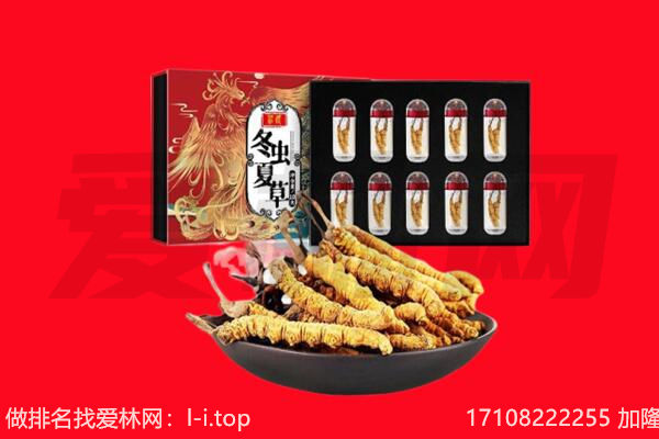 广安回收虫草.jpg
